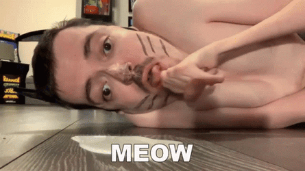 Ricky Berwick Meow GIF
