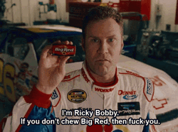 Ricky Bobby GIF