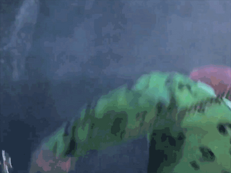 Riddler Ready To Fight GIF