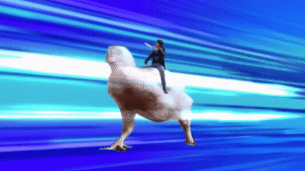 Riding On A Chicken Run GIF