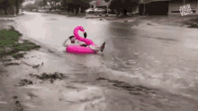 Riding On A Flamingo In The Storm GIF