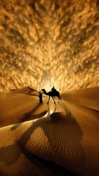 Riding The Camel In The Desert GIF