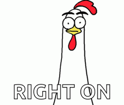 Right On A Okay Angry Chicken Bro GIF