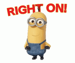 Right On Kevin The Minion Dancing GIF