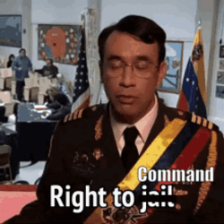 Right To Jail Command GIF