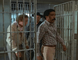 Right To Jail Crazy Prisoner Meme GIF