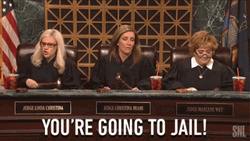 Right To Jail Youre Going To Jail Judges GIF