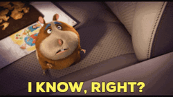 Riiiight Animal Crackers Movie GIF