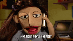 Riiiight Hadassah Guberman GIF