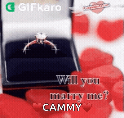 Ring In A Box Saying Will You Marry Me GIF