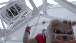 Ring The Bell Up There GIF