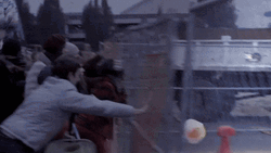 Riot Broke On The Fence GIF