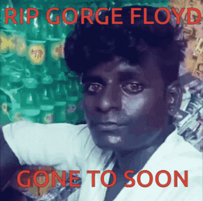 Rip George Floyd Gone Too Soon GIF