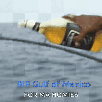 Rip Gulf Of Mexico With Beer GIF