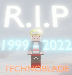 RIP Technoblade Death Tribute GIF
