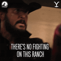 Rip Yellowstone Angry GIF