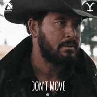 Rip Yellowstone Don't Move GIF