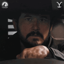 Rip Yellowstone Driving  GIF