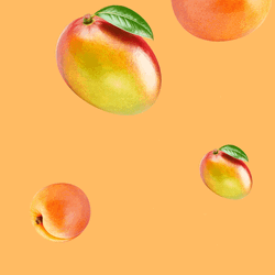 Ripe Mango Peaches Fruit Sweet Food Raining  GIF