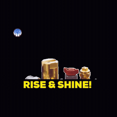 Rise And Shine Brass Fittings GIF