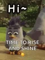Rise And Shine Cartoon Bird Waving Hi GIF