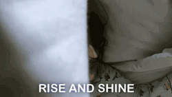 Rise And Shine Rashami Desai Waking Up GIF
