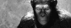 Rise Of The Planet Of The Apes Ceasar GIF