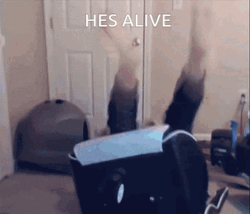 Rising Guitarist Hes Alive GIF