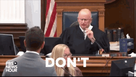 Rittenhouse Judge GIF