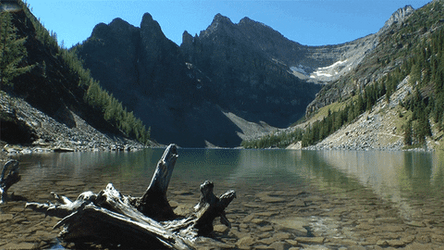 River GIFs | GIFDB.com