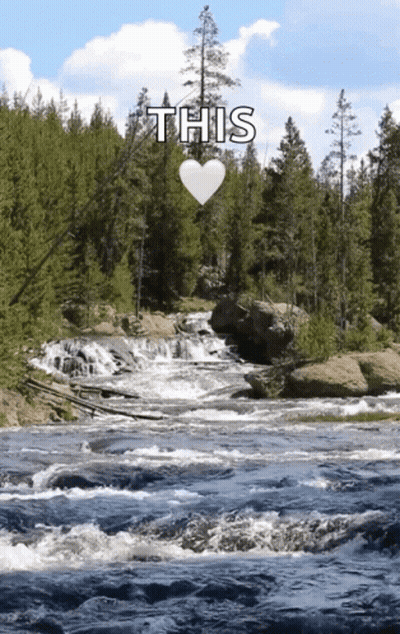 River Flowing Through Forest With Heart Saying This GIF