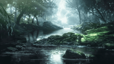 River Flowing Through Lush Green Forest GIF