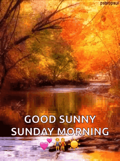 River Good Sunny Sunday Morning GIF