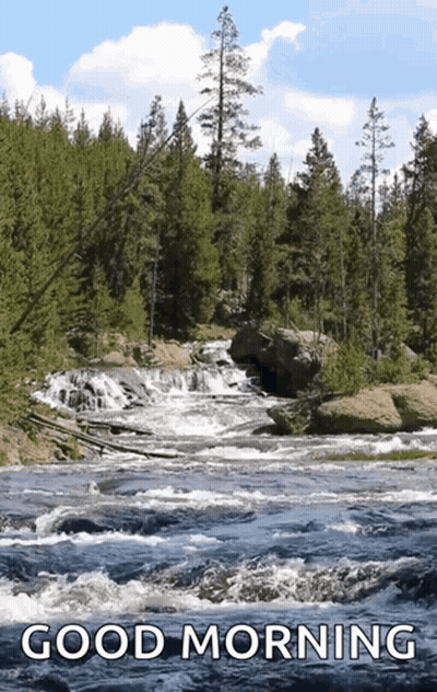 River In Forest Good Morning GIF