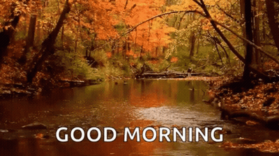 River In Forest Saying Good Morning GIF