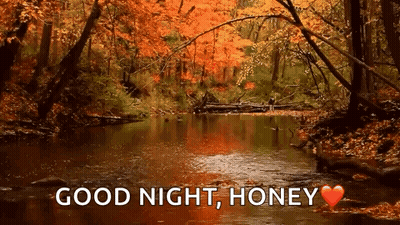 River In Forest Saying Good Night Honey GIF