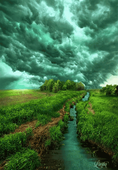River Running Through Grassy Field GIF