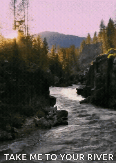 River Surrounded By Rocks And Trees Saying Take Me To Your River GIF
