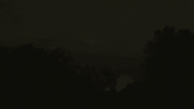 River Surrounded By Trees And Mountains GIF