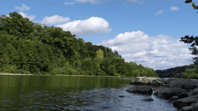 River Surrounded By Trees And Rocks GIF