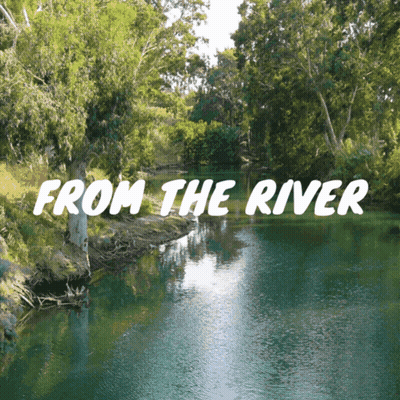 River Surrounded By Trees Saying From The River GIF