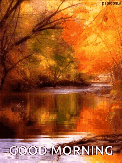 River Surrounded By Trees Saying Good Morning GIF