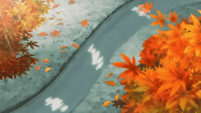 River Surrounded By Trees With Leaves On Ground GIF