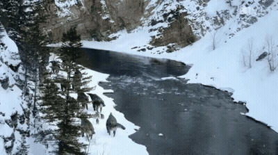 River Through Snowy Landscape With Trees And Rocks GIF