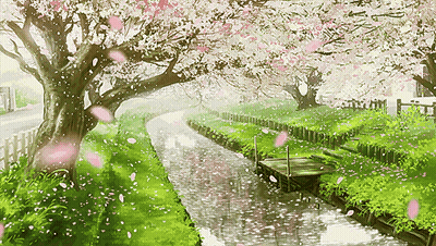 River With Cherry Blossom Trees GIF