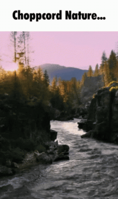 River With Chopcord Nature GIF