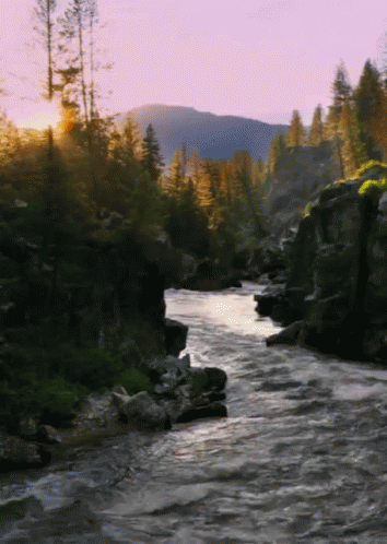 River With Mountains And Trees On Shore GIF