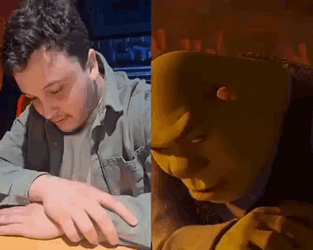 Rizz Meme Man Imitating Shrek Face Expression GIF