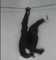 Rizz Monkey Hanging On Electricity Lines GIF