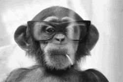 Rizz Nerdy Monkey Wearing Eyeglasses Puffing Smoke GIF